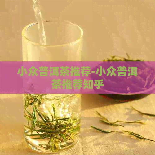 小众普洱茶推荐-小众普洱茶推荐知乎