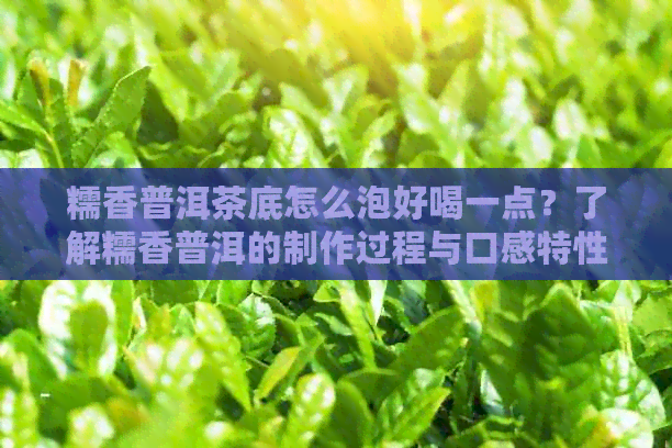 糯香普洱茶底怎么泡好喝一点？了解糯香普洱的制作过程与口感特性