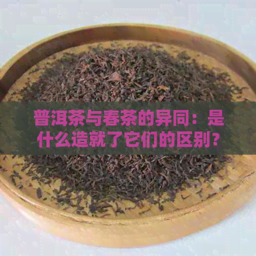 普洱茶与春茶的异同：是什么造就了它们的区别？