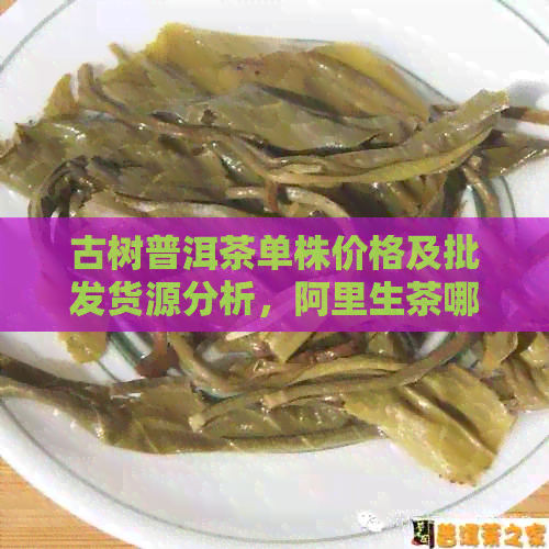 古树普洱茶单株价格及批发货源分析，阿里生茶哪个最实？