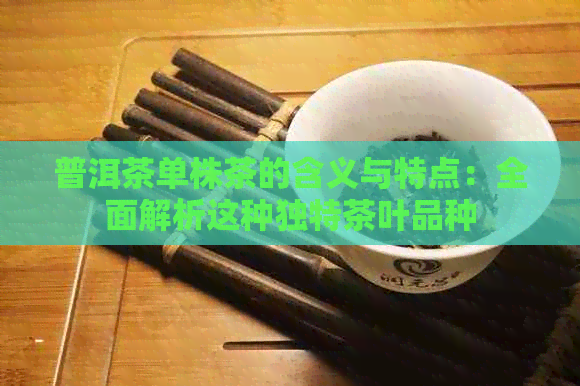 普洱茶单株茶的含义与特点：全面解析这种独特茶叶品种