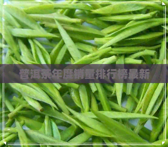 普洱茶年度销量排行榜最新