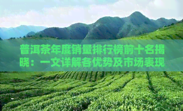 普洱茶年度销量排行榜前十名揭晓：一文详解各优势及市场表现