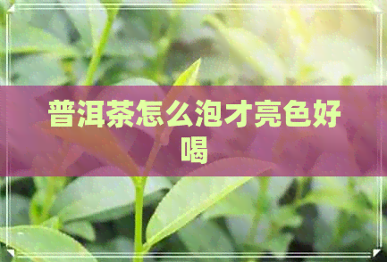 普洱茶怎么泡才亮色好喝