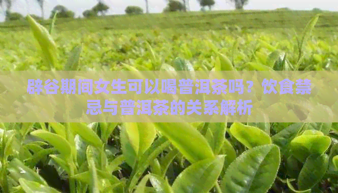 辟谷期间女生可以喝普洱茶吗？饮食禁忌与普洱茶的关系解析