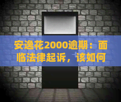 安逸花2000逾期：面临法律起诉，该如何应对还不上？