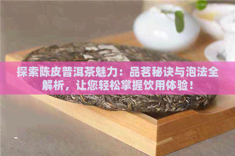 探索陈皮普洱茶魅力：品茗秘诀与泡法全解析，让您轻松掌握饮用体验！