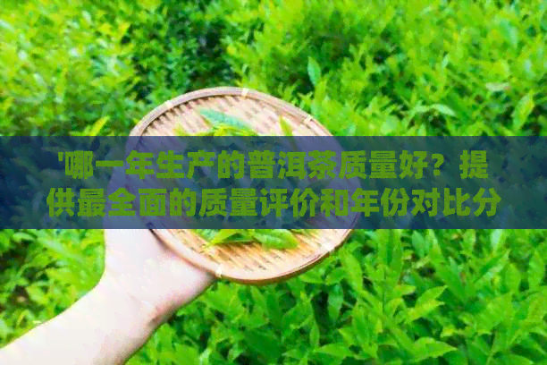 '哪一年生产的普洱茶质量好？提供最全面的质量评价和年份对比分析。'