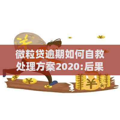 微粒贷逾期如何自救处理方案2020:后果、处理方法与最处置