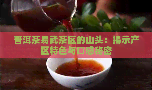 普洱茶易武茶区的山头：揭示产区特色与口感秘密