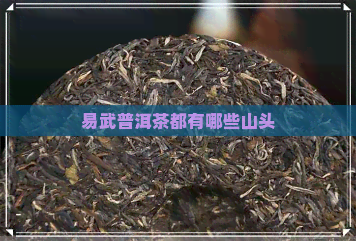 易武普洱茶都有哪些山头