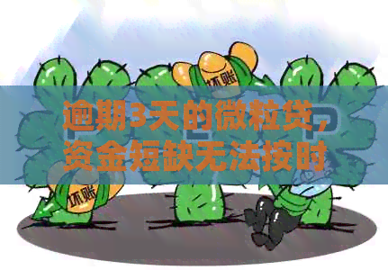 逾期3天的微粒贷，     无法按时还款，如何解决？