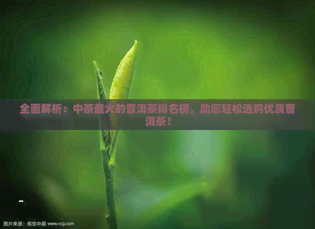 全面解析：中茶最火的普洱茶排名榜，助您轻松选购优质普洱茶！