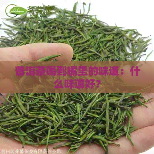 普洱茶喝到嘴里的味道：什么味道好？