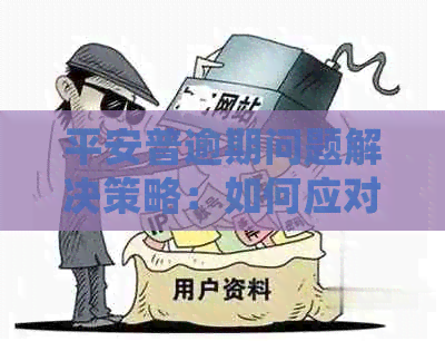 平安普逾期问题解决策略：如何应对上门和处理办法