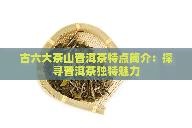 古六大茶山普洱茶特点简介：探寻普洱茶独特魅力