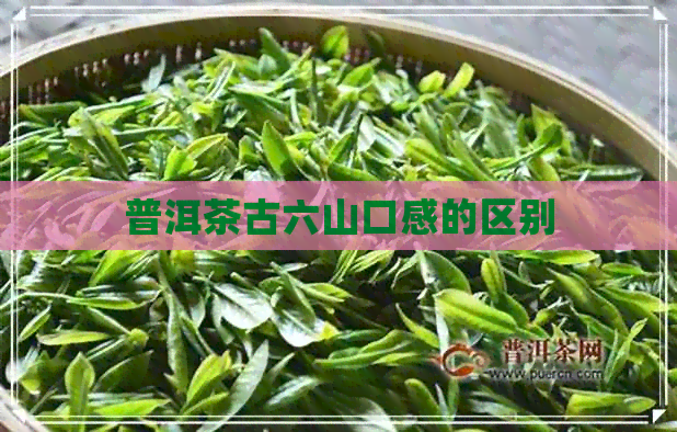 普洱茶古六山口感的区别