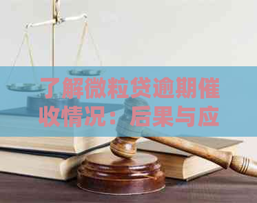 了解微粒贷逾期情况：后果与应对策略全解析