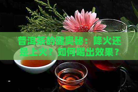 普洱茶的健奥秘：降火还是上火？如何喝出效果？