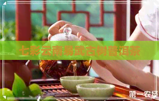 七彩云南易武古树普洱茶