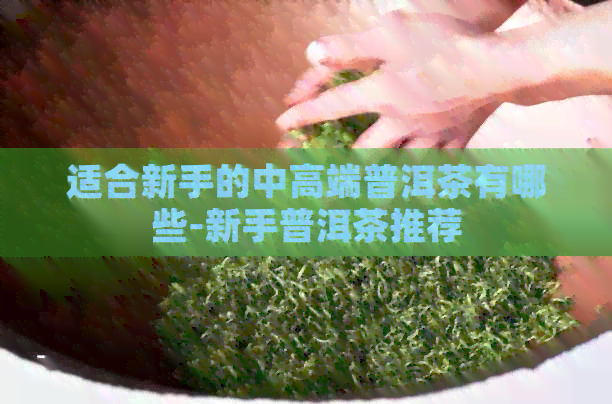 适合新手的中高端普洱茶有哪些-新手普洱茶推荐