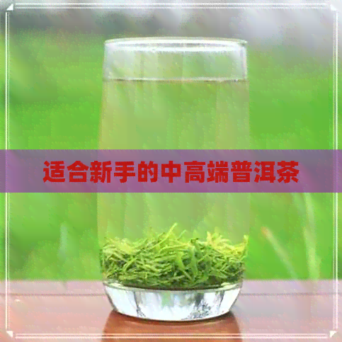 适合新手的中高端普洱茶