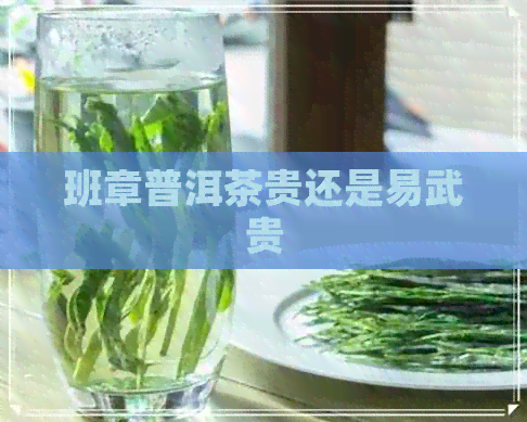 班章普洱茶贵还是易武贵