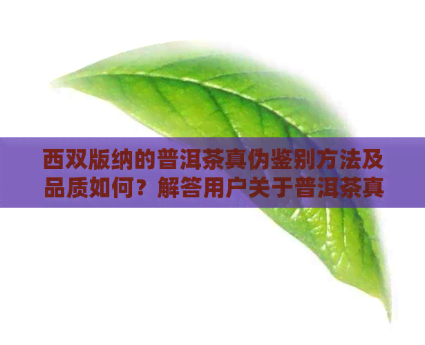 西双版纳的普洱茶真伪鉴别方法及品质如何？解答用户关于普洱茶真实性的疑虑