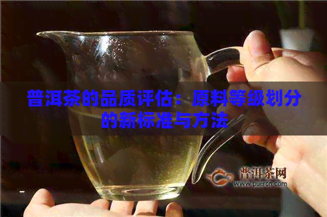 普洱茶的品质评估：原料等级划分的新标准与方法