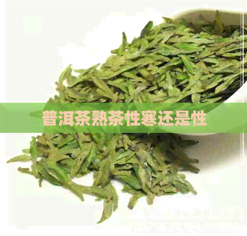 普洱茶熟茶性寒还是性