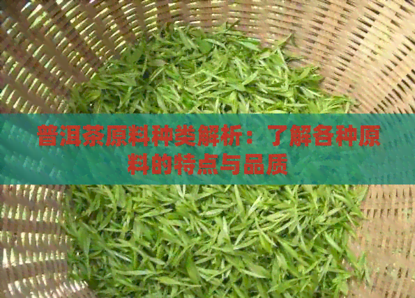 普洱茶原料种类解析：了解各种原料的特点与品质