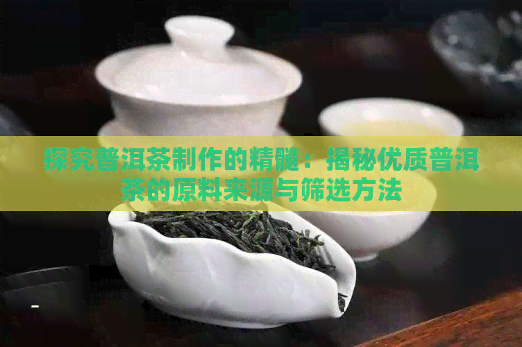 探究普洱茶制作的精髓：揭秘优质普洱茶的原料来源与筛选方法