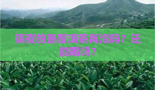 隔夜的熟普洱茶再泡吗？还能喝吗？