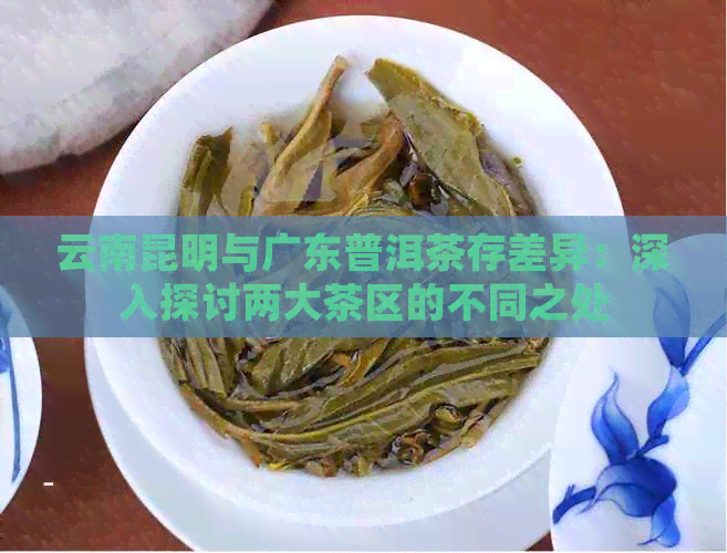 云南昆明与广东普洱茶存差异：深入探讨两大茶区的不同之处