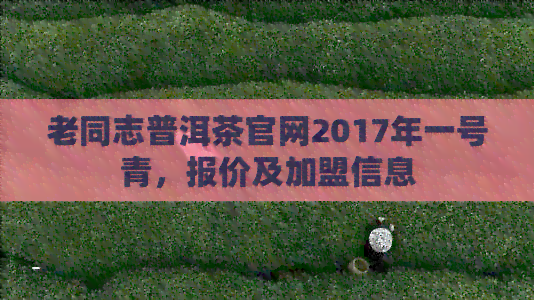 老同志普洱茶官网2017年一号青，报价及加盟信息