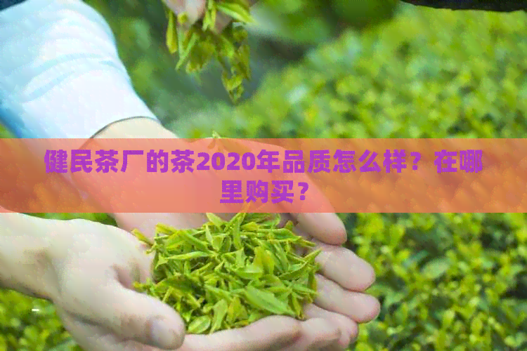 健民茶厂的茶2020年品质怎么样？在哪里购买？