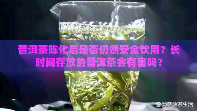 普洱茶陈化后是否仍然安全饮用？长时间存放的普洱茶会有害吗？