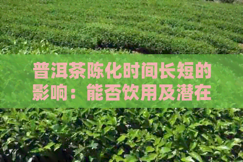 普洱茶陈化时间长短的影响：能否饮用及潜在安全性探讨