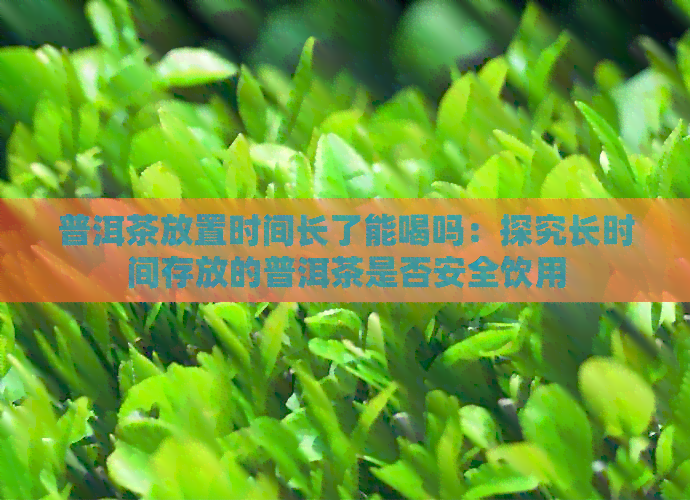 普洱茶放置时间长了能喝吗：探究长时间存放的普洱茶是否安全饮用