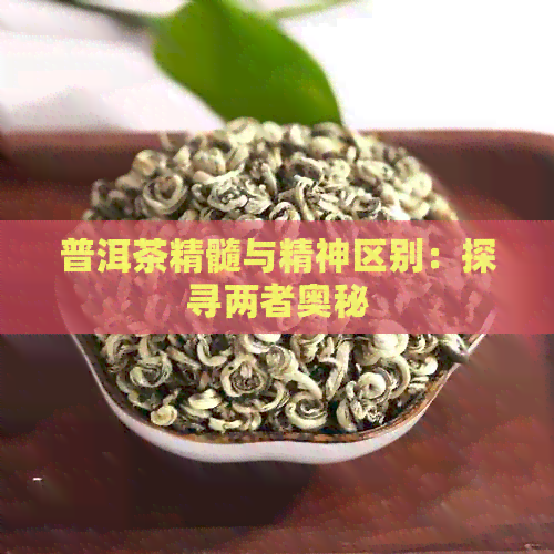 普洱茶精髓与精神区别：探寻两者奥秘