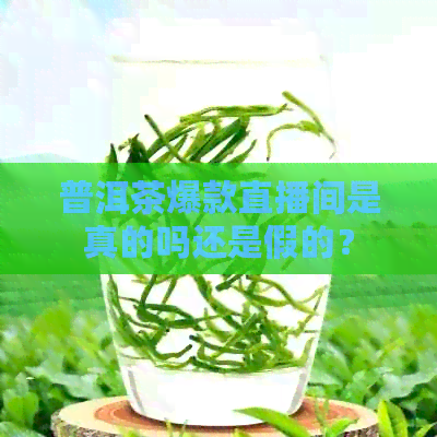 普洱茶爆款直播间是真的吗还是假的？