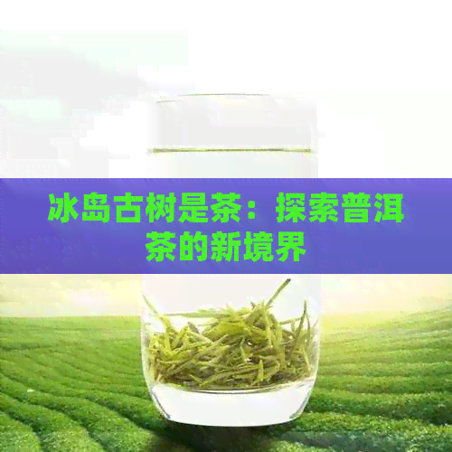 冰岛古树是茶：探索普洱茶的新境界