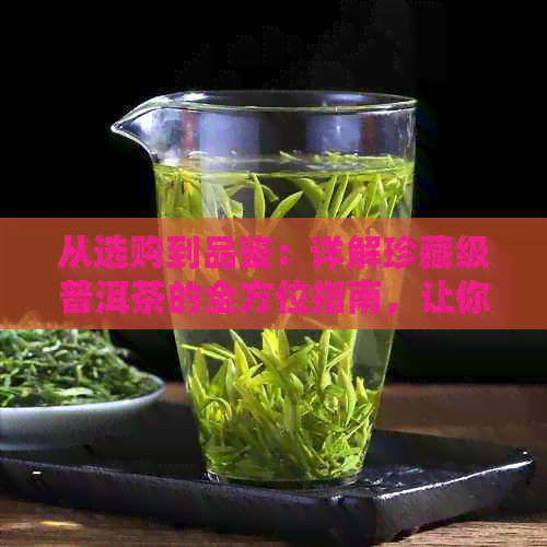 从选购到品鉴：详解珍藏级普洱茶的全方位指南，让你成为普洱茶专家