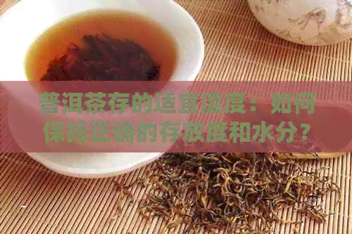 普洱茶存的适宜湿度：如何保持正确的存放度和水分？