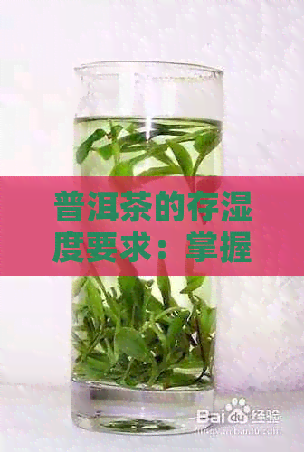 普洱茶的存湿度要求：掌握这些关键因素，确保茶叶品质和口感