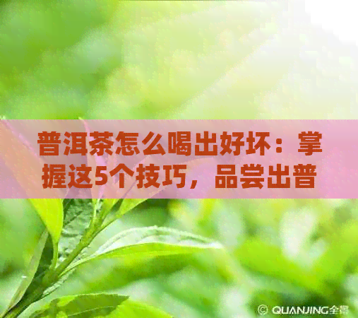 普洱茶怎么喝出好坏：掌握这5个技巧，品尝出普洱茶的精华