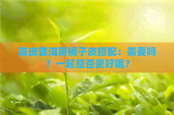 陈皮普洱茶橘子皮搭配：需要吗？一起是否更好喝？