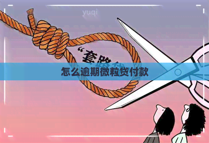 怎么逾期微粒贷付款