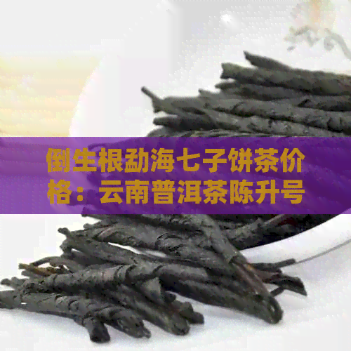 倒生根勐海七子饼茶价格：云南普洱茶陈升号357克多少钱？