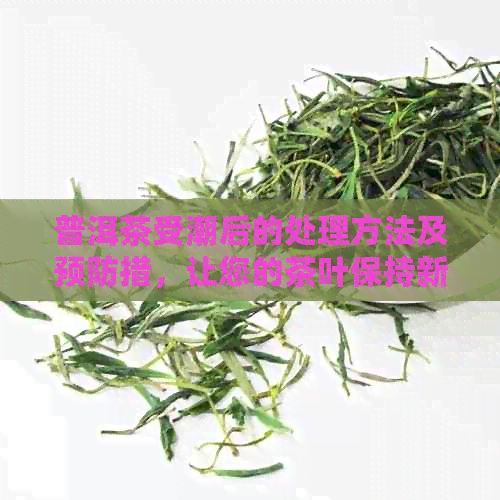 普洱茶受潮后的处理方法及预防措，让您的茶叶保持新和品质